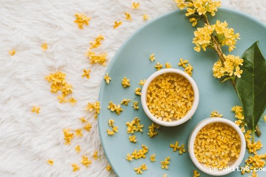 必威中文官网中秋节